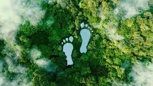 Working in tourism and real estate for so many years, U Wang Young understands that the environmental footprint they leave on our planet can be huge.